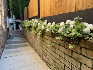 Side walkway- click for photo gallery